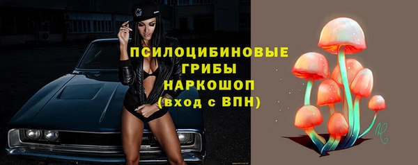 спайс Абаза
