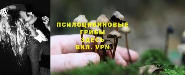 спайс Абаза