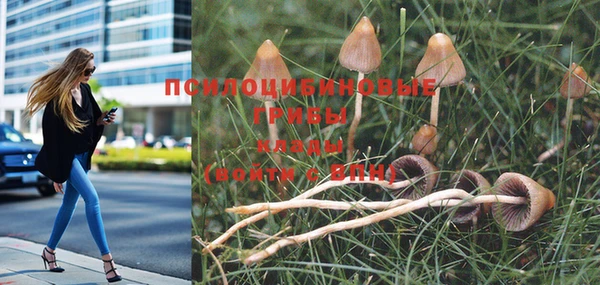 винт Новодвинск