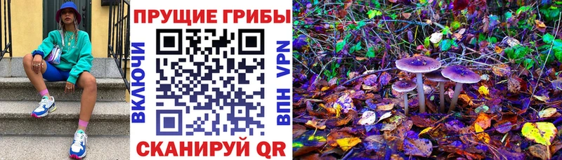 Галлюциногенные грибы GOLDEN TEACHER  Ак-Довурак 